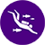 Diving Icon